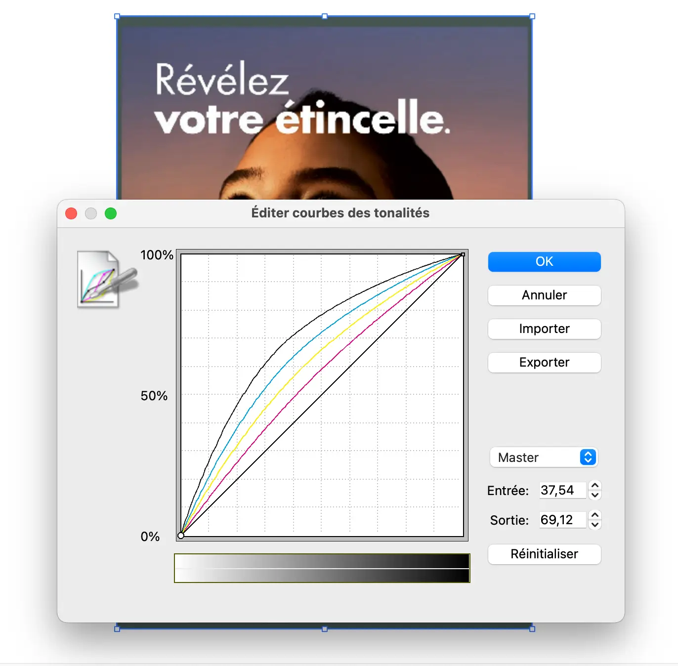 Gestion des profils