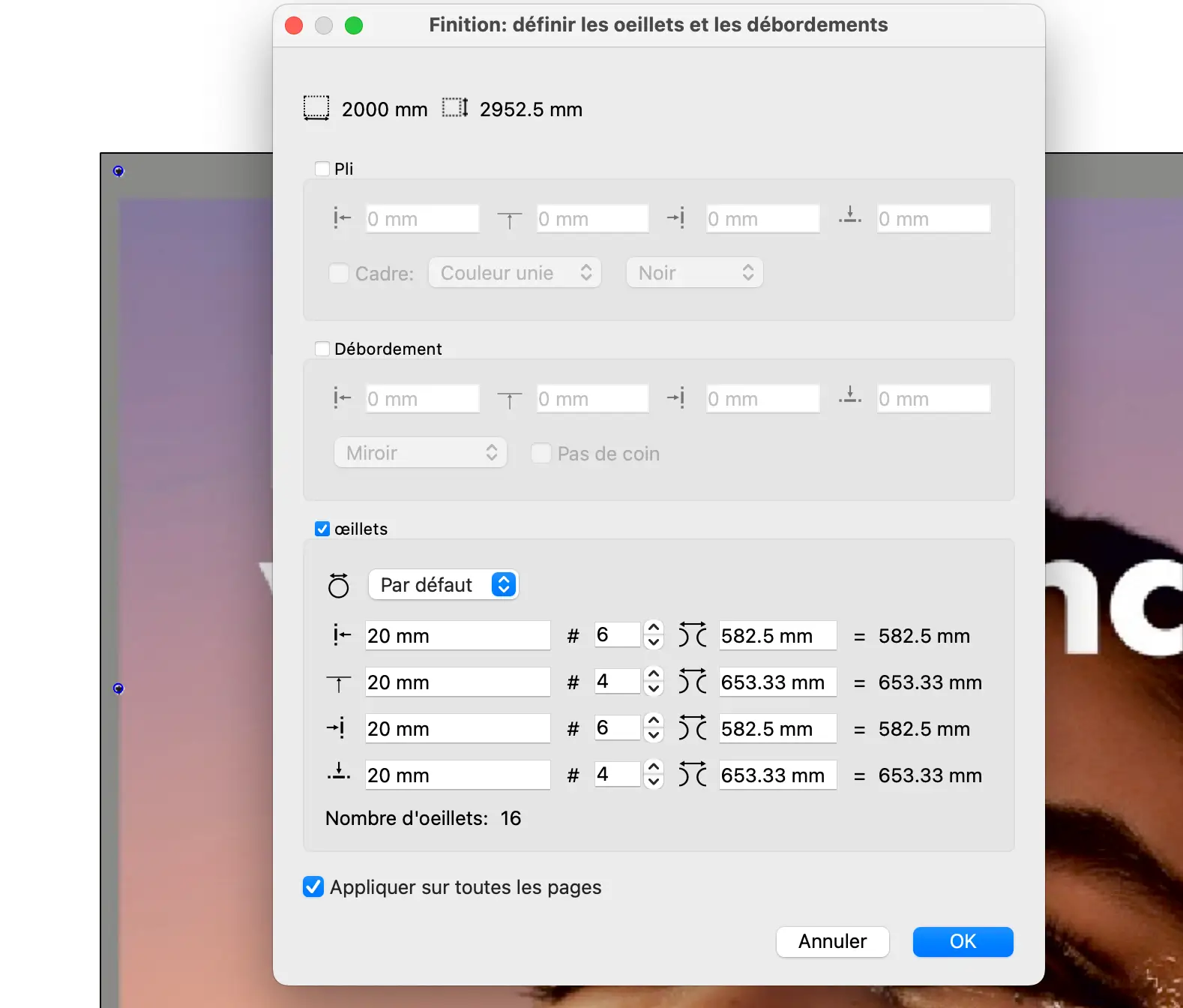 Gestion des œillets